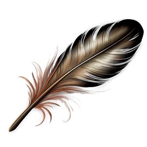 Boho Chic Feather Png 67 PNG image