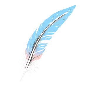 Boho Chic Feather Png Fex27 PNG image