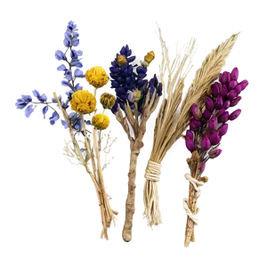 Boho Dried Flowers PNG 06272024