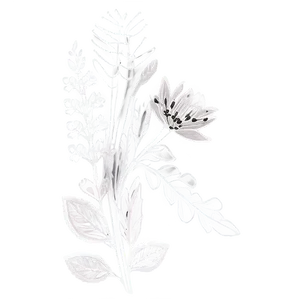 Boho Flowers Outline PNG 06272024