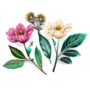 Boho Flowers Set PNG 63 PNG