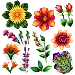 Boho Flowers Set PNG Feo