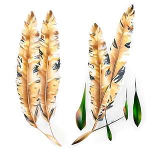 Boho Pampas Decoration Png Xra PNG image