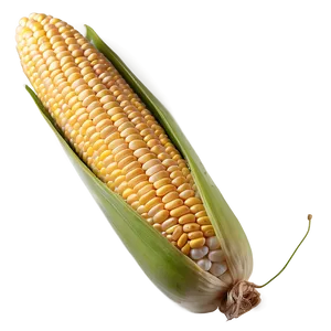 Boiled Corn Png 55 PNG image