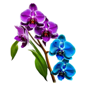 Bold Blue Orchid PNG 06252024