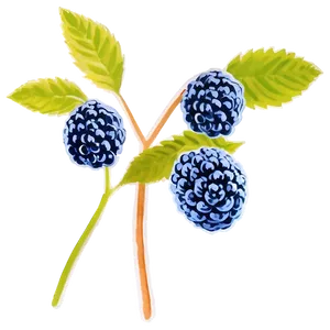 Bold Blue Raspberry Png Lgp PNG image