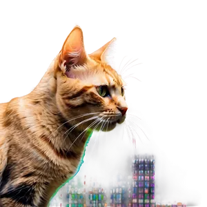Bold Cat Meme PNG 21 PNG