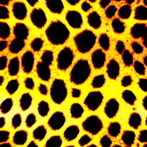 Bold Cheetah Print Statement PNG Opo41 PNG