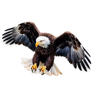 Bold Eagle PNG 05062024