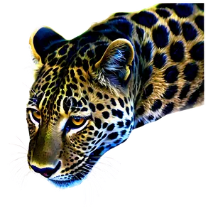 Bold Leopard Print Png Odm PNG image
