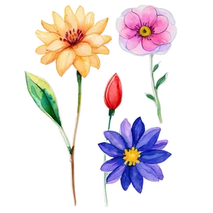Bold Watercolor Bloom PNG 54