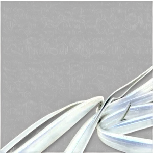 Bold White Lines PNG 06282024