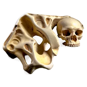 Bone Fragments PNG 19 PNG