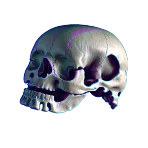 Bone Structure PNG Bmq67
