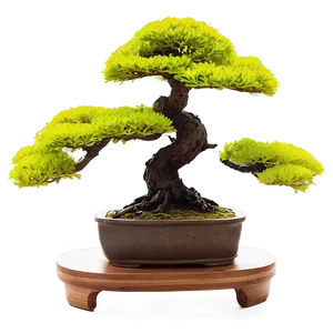 Bonsai Tree At Sunrise Png Fem89 PNG image