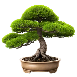 Bonsai Tree Illustration Png 06202024 PNG image