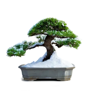Bonsai Tree In Snow PNG 06202024