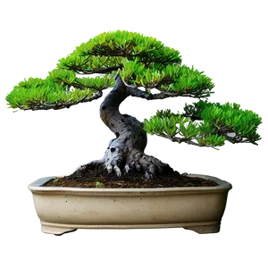 Bonsai Tree Silhouette PNG Mpv24 PNG