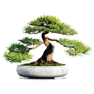 Bonsai Tree Sketch PNG 60