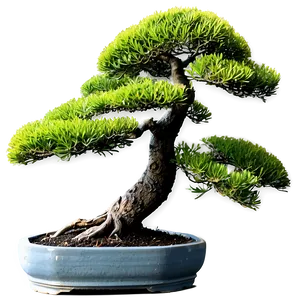 Bonsai Tree Toolkit PNG 06202024