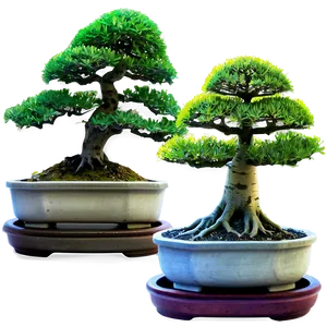 Bonsai Tree Toolkit Png 06202024 PNG image