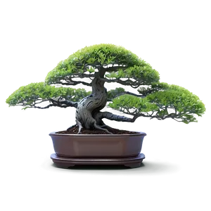 Bonsai Tree Toolkit PNG Ocb37