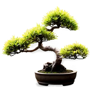 Bonsai Tree With Koi Fish PNG 98