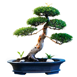 Bonsai Tree With Koi Fish Png Bfv PNG image