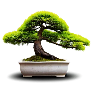 Bonsai Tree With Lanterns PNG 06202024
