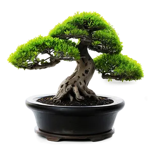 Bonsai Tree With Lanterns Png 24 PNG image