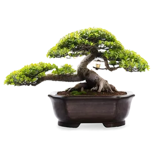 Bonsai Tree With Lanterns PNG 31