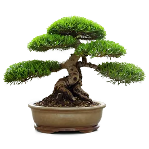 Bonsai Tree With Mountain Background Png 06202024 PNG image