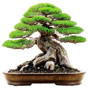 Bonsai Tree With Mountain Background PNG Yxo PNG