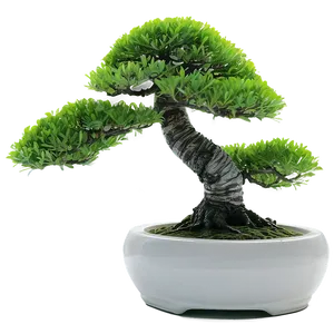 Bonsai Tree With Zen Stones PNG Svv