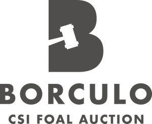 Borculo C S I Foal Auction Logo PNG image
