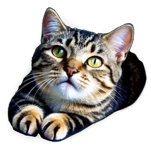 Bored Cat Meme PNG Fvf