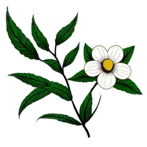 Botanical Flower Drawing Png Sjy67 PNG image