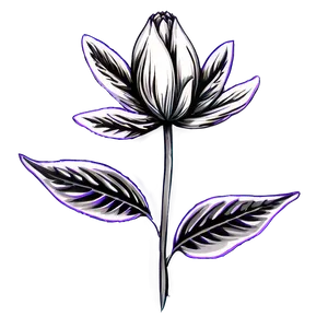 Botanical Flower Outline Png 05252024 PNG image