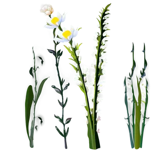 Botanical Flower Stem PNG 95 PNG