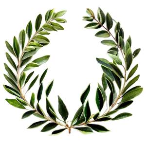 Botanical Laurel Arrangement PNG 06262024 PNG