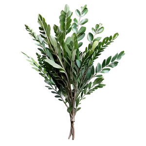 Botanical Laurel Arrangement PNG Lrk77 PNG