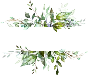 Botanical Leaves Frame Design PNG image