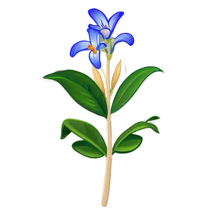 Botanical Study Drawing PNG Dbl2