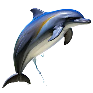 Bottlenose Dolphin Png 3 PNG image