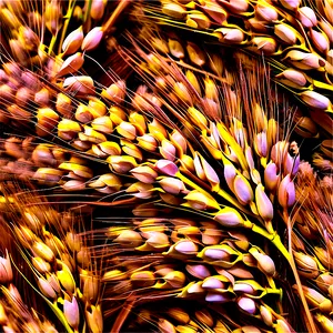Bountiful Wheat Harvest Png Eso65 PNG image