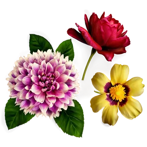 "bouquet Of Beauty: Flower PNG Collection" B