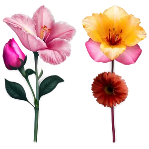 "bouquet Of Beauty: Flower PNG Collection" C