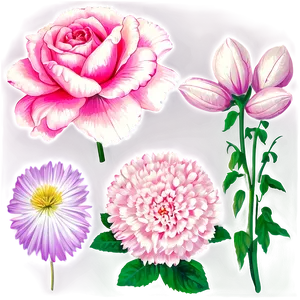 "bouquet Of Beauty: Flower PNG Collection" D