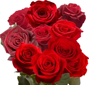 Bouquet_of_ Red_ Roses_ Black_ Background.jpg PNG image