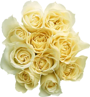 Bouquet_of_ Yellow_ Roses.png